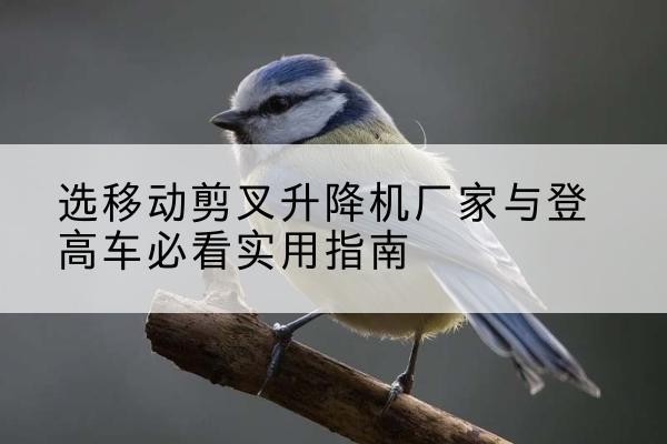 福州电动升降机厂家-选移动剪叉升降机厂家与登高车必看实用指南