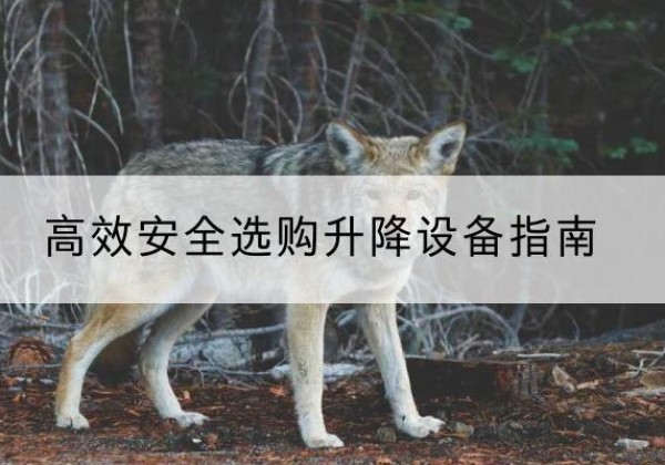 福州升降货梯厂家推荐-*安全选购升降设备指南