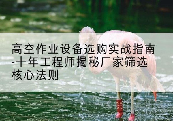 福州剪叉式升降机厂家-高空作业设备选购实战指南-十年工程师揭秘厂家筛选核心法则